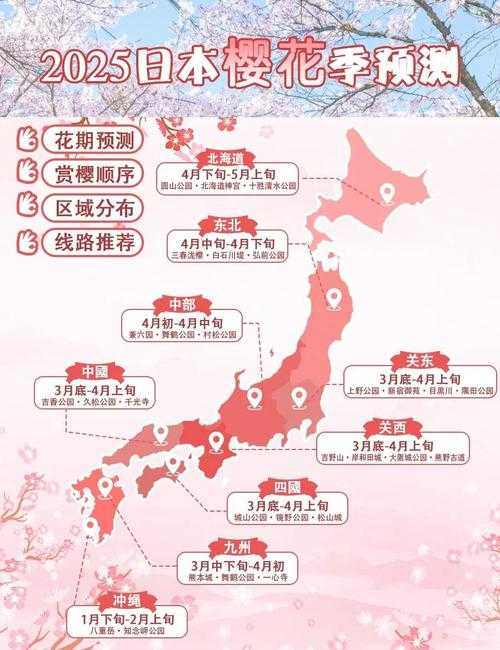 2025年日本手游通关指南 亲测有效的6大实战技巧