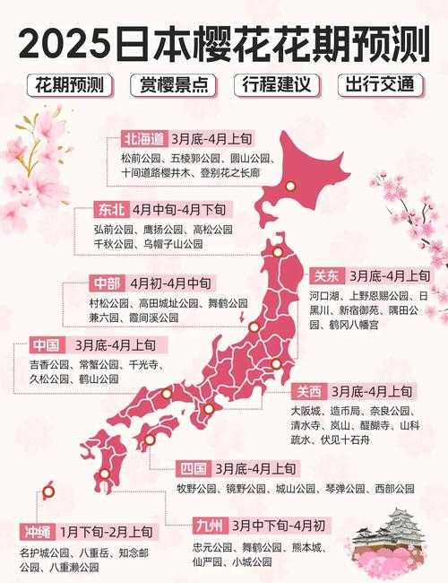 2025年春日摄影之旅全记录 98元套餐如何实现 高性价比 