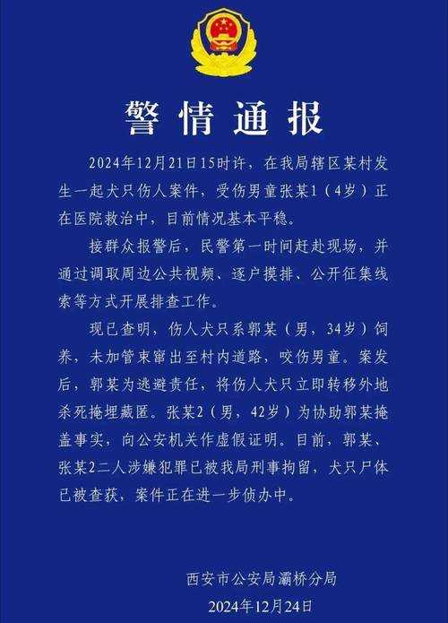 2025年景安区神秘案件全记录