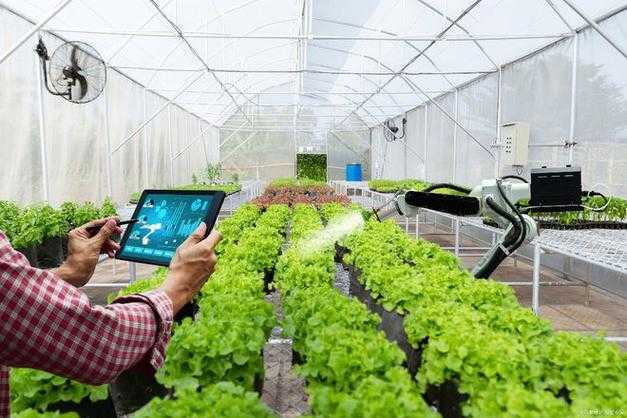 2025年智慧农业种植全攻略 从疯狂农场到可持续丰收