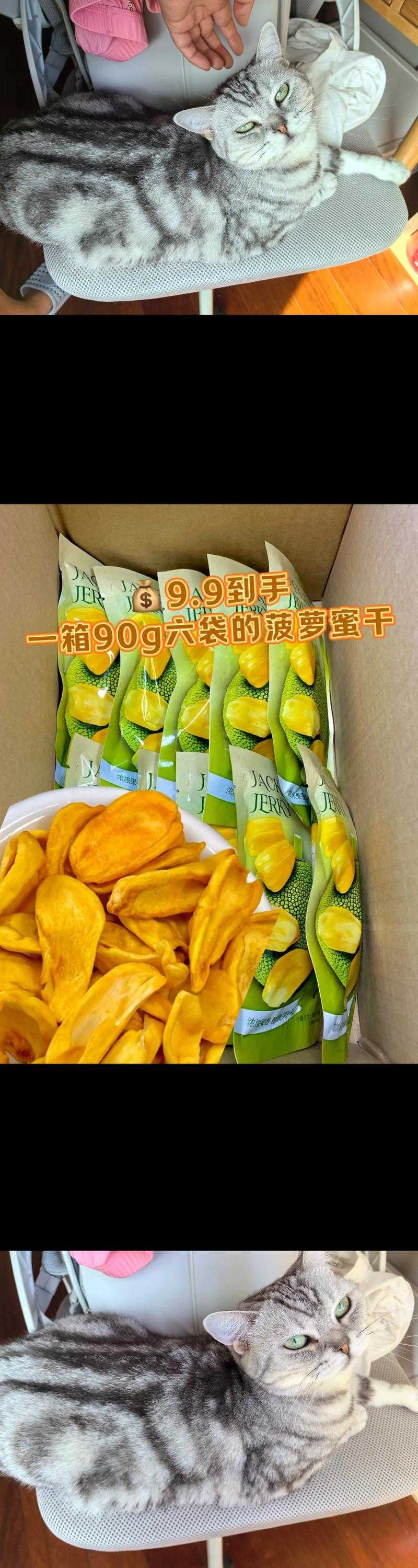 菠萝蜜免费追剧，便捷在线观看，网友点赞：这才是追剧新潮流！