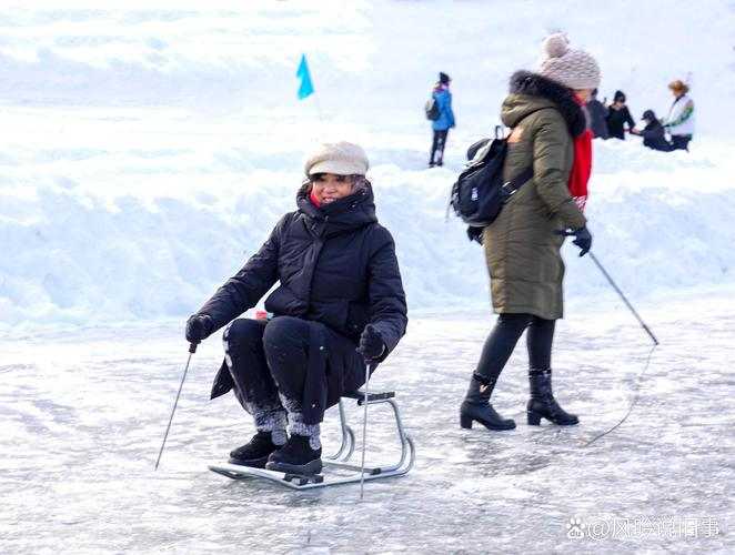 2025年沉浸式游戏新体验 雪域征途 的雪地生存挑战