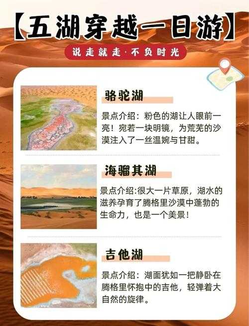 2025年沙漠网游生存全攻略 手把手教你成为沙海王者