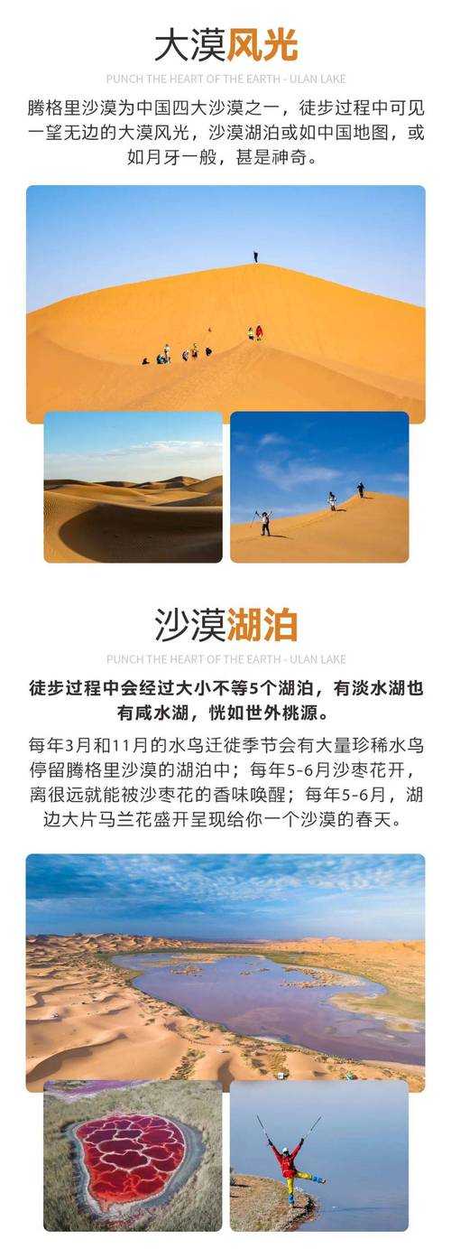 2025年沙漠网游高效日常任务指南