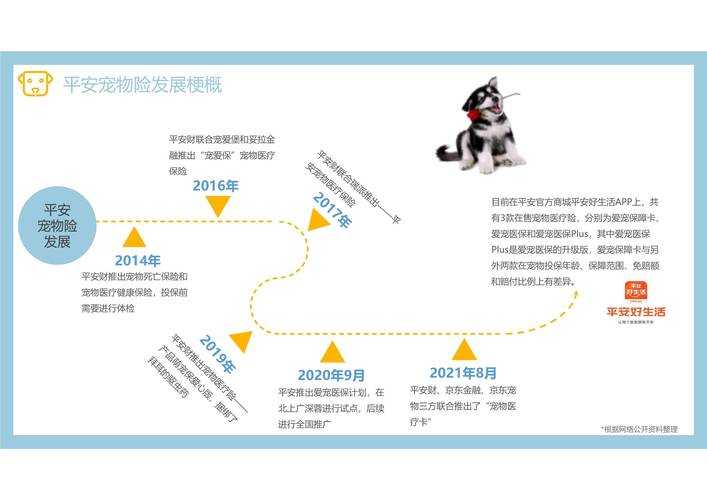 2025年沧月网游宠物系统深度体验报告