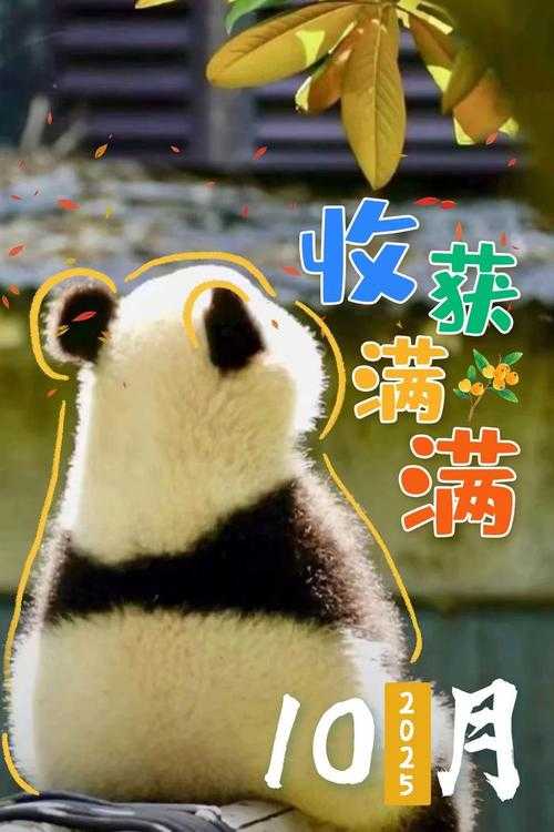 2025年治愈系手游 暖暖村物语 深度体验报告