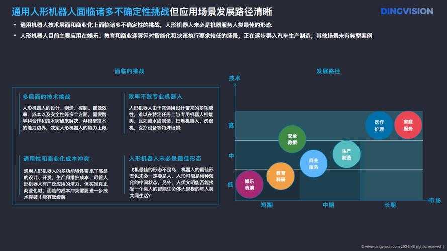 2025年法国侠盗手游市场全景报告
