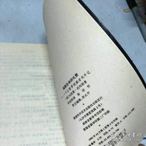 2025年流行三字女游戏名观察手记