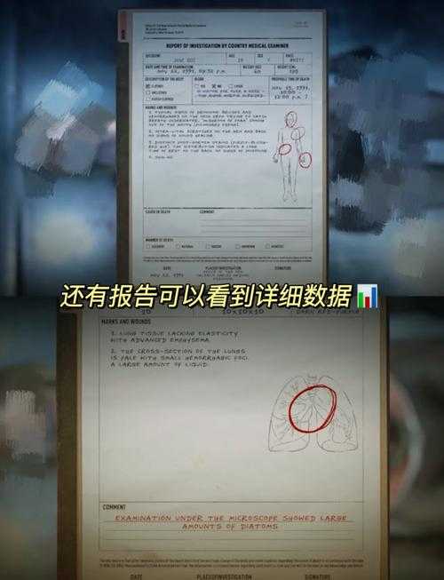 2025年浅规则网游深度体验报告 自由与真实交织的虚拟世界