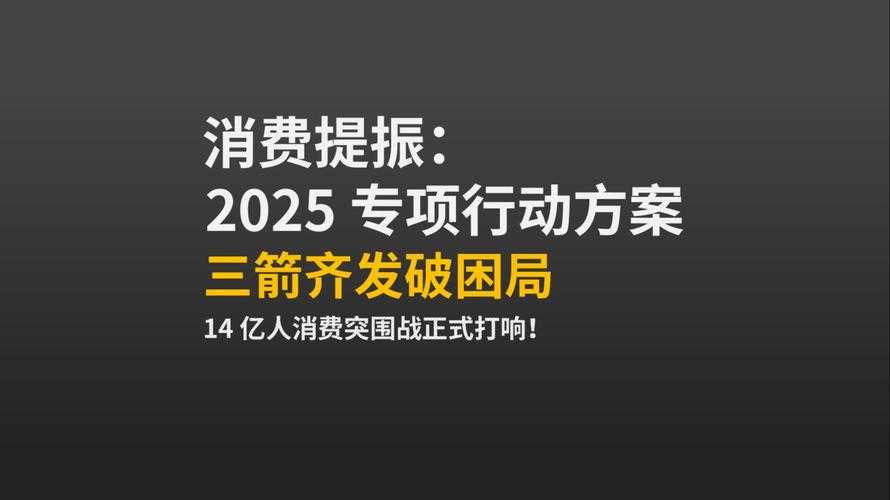 2025年消费升级下的品牌突围战