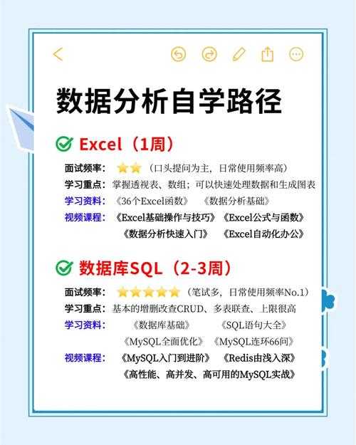 2025年淨系战斗深度解析 从数据到实战的全面指南