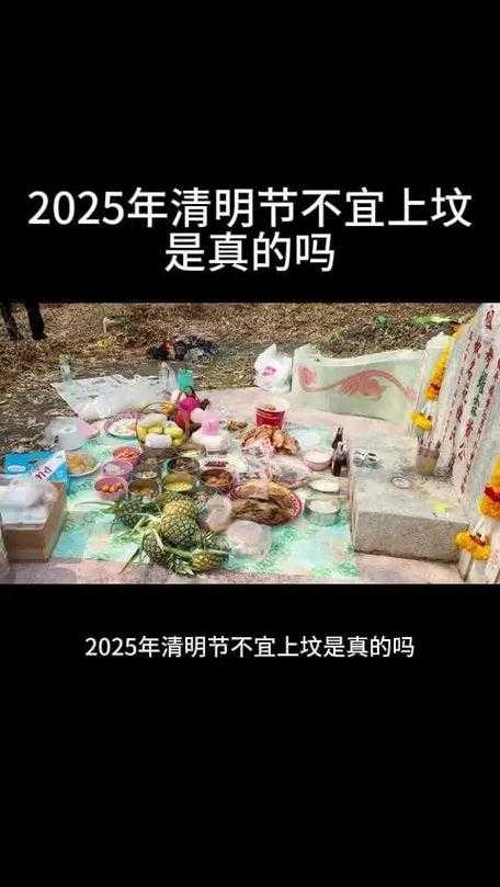 2025年清明节禁游戏令下的众生相