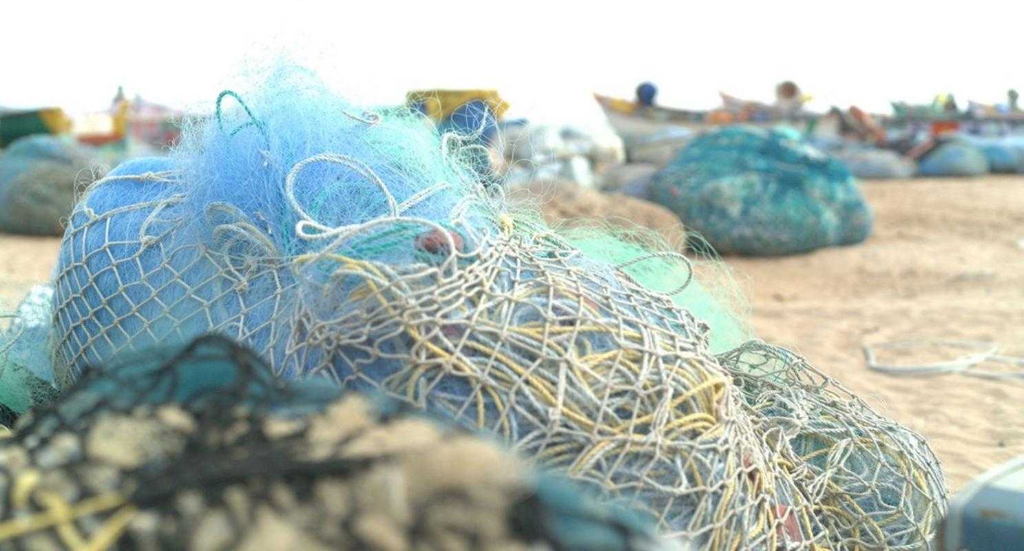 2025年渔网环保游戏 在虚拟世界中守护真实海洋