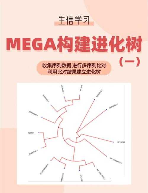 2025年游戏体验全解析 从技能树到社交生态的沉浸式进化